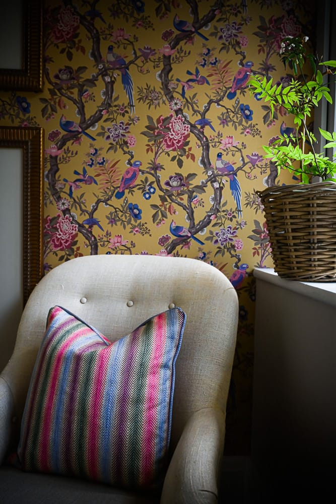 Polly Edley - Home-16