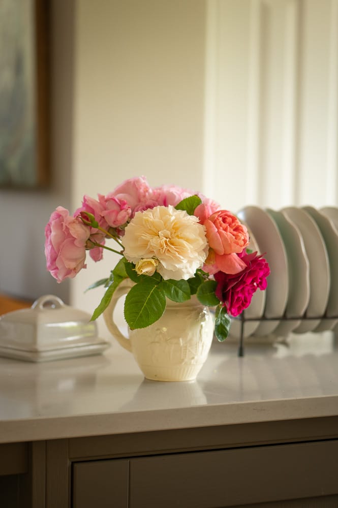 Polly Edley - Home-4