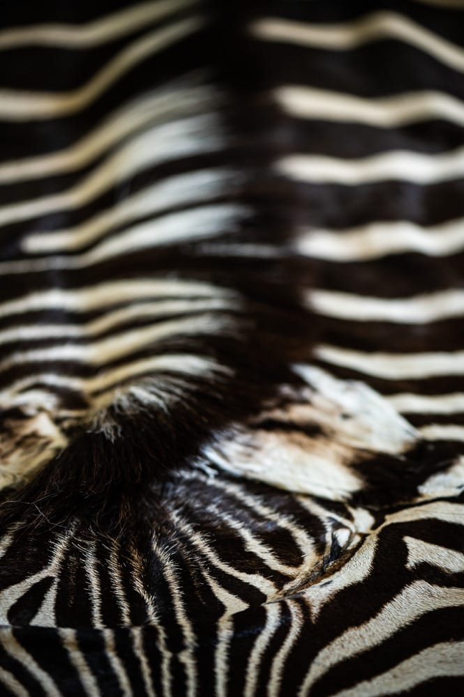 Polly Edley - Home-53