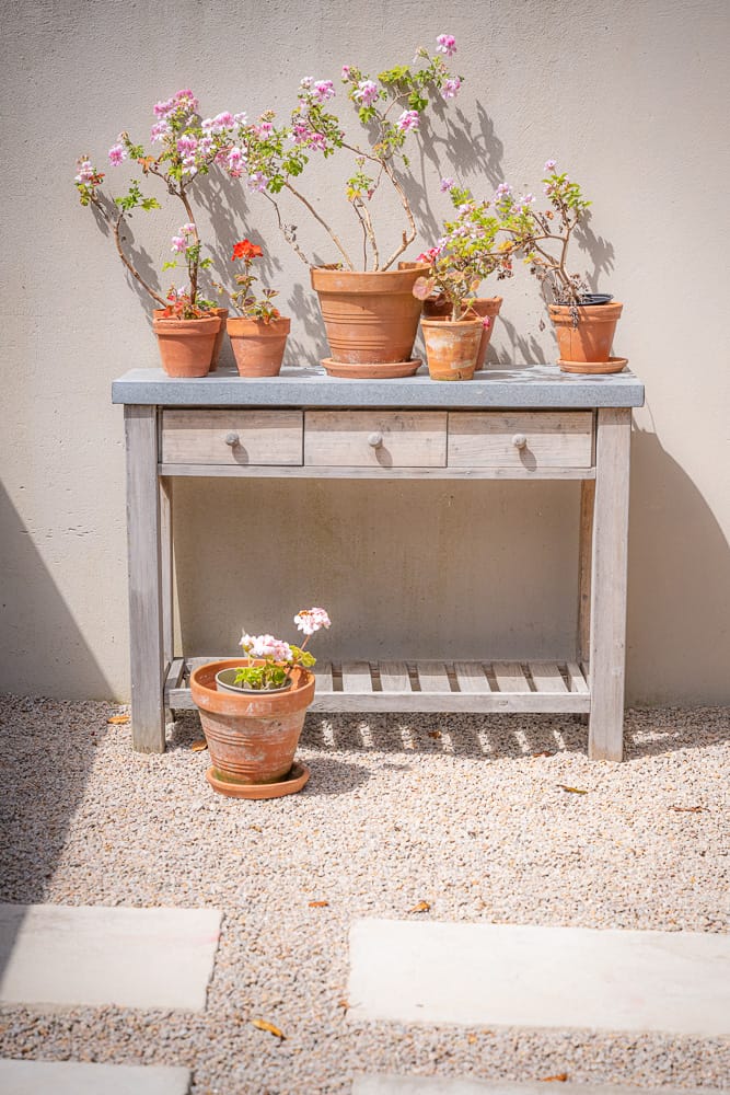 Polly Edley - Home-69